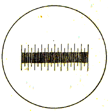 Objektivov mikrometr
